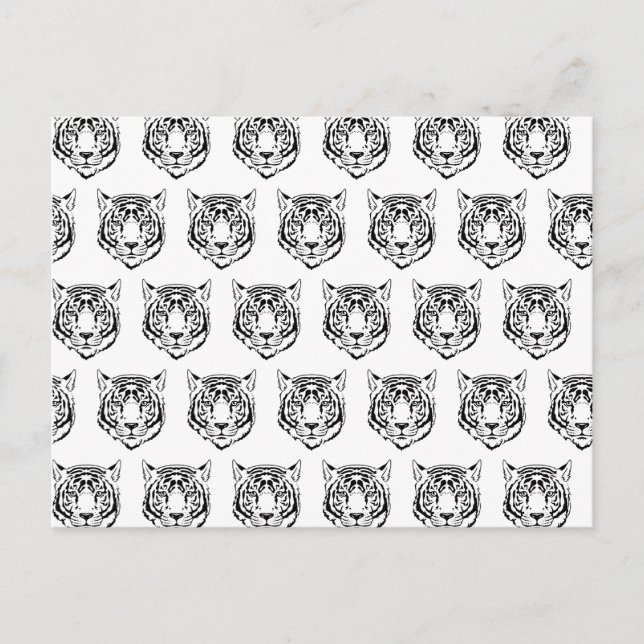 White Tiger Face Head Wild Animals Feline Lover Postcard (Front)