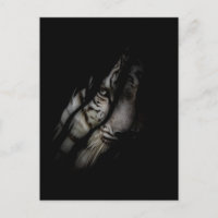 White Tiger Face Torn Claw Wild Safari Animal Cat