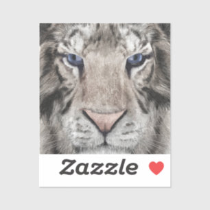 White Tiger Head Wildlife Aesthetic