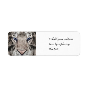 White Tiger Head Wildlife Aesthetic