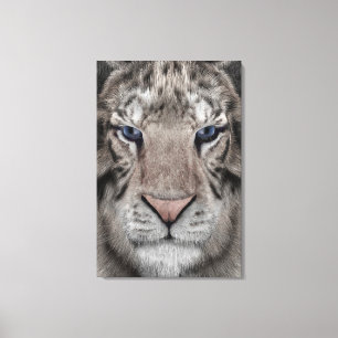 White Tiger Head Wildlife Aesthetic Canvas Print