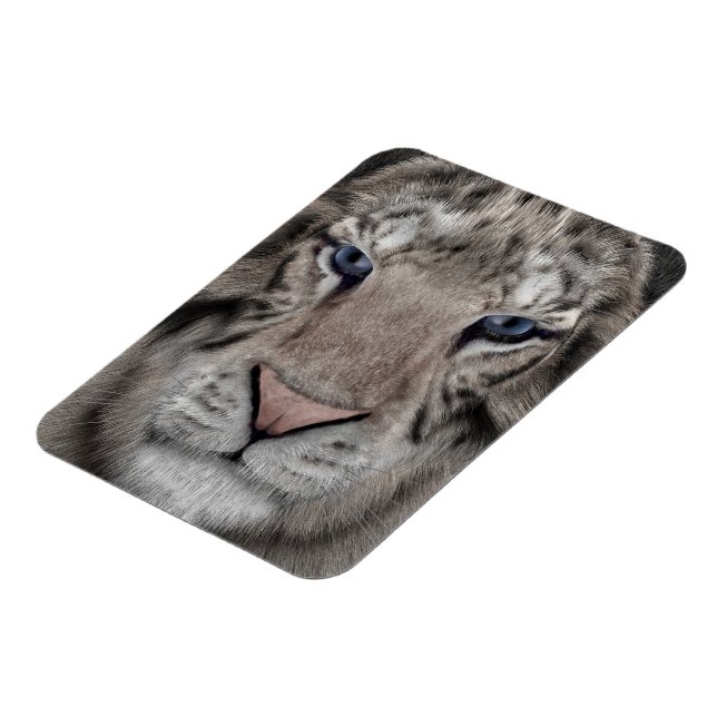 White Tiger Head Wildlife Aesthetic Magnet (Left Side)