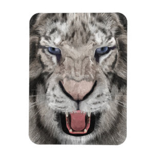 White Tiger Head Wildlife Aesthetic Magnet