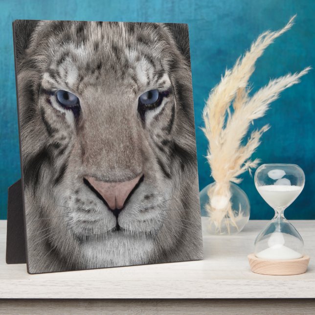 White Tiger Head Wildlife Aesthetic Plaque (Side)