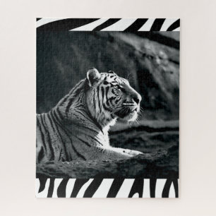 White tiger jigsaw puzzle
