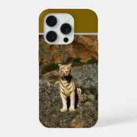 White Tiger Lookout,