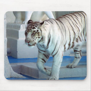 White Tiger Mouse Pad