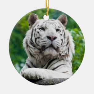 White Tiger ornament