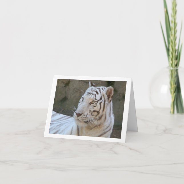 White Tiger Photo Folded Note Card (Front)