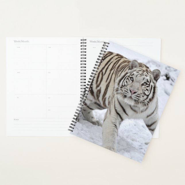 White Tiger Planner (Display)