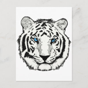 White tiger postcard