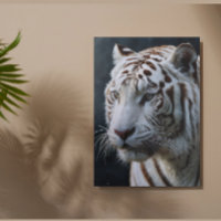 White tiger