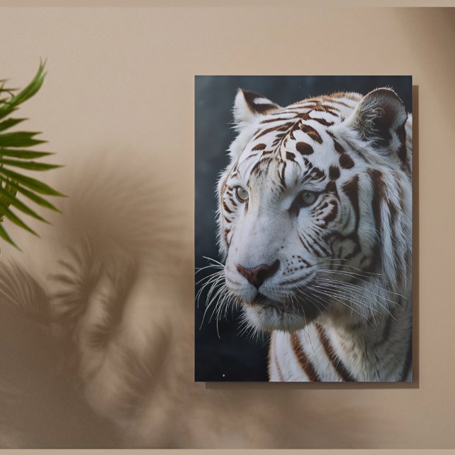 White tiger poster (Creator Uploaded)