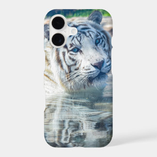 White Tiger reflection