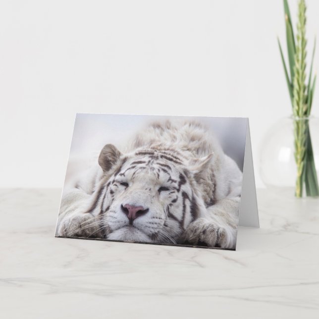 WHITE TIGER RELAXING BIRTHDAY CARD (Front)