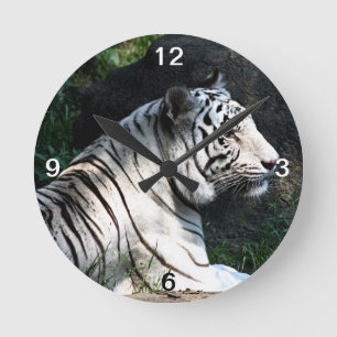 White tiger round clock