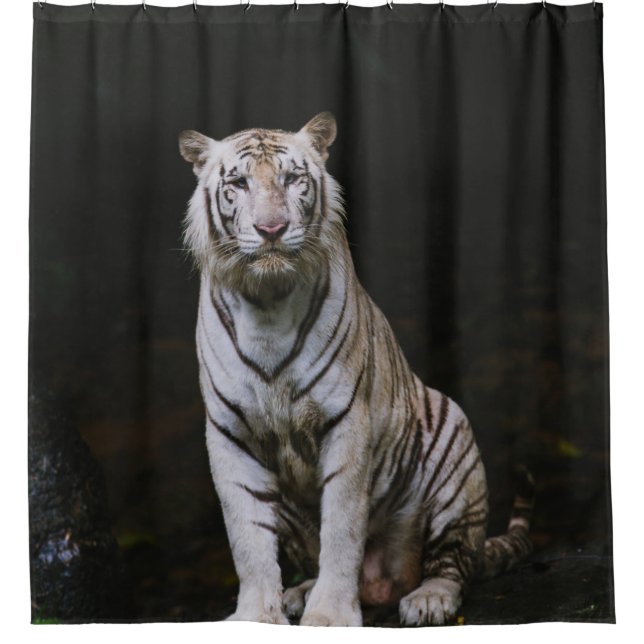 WHITE TIGER SHOWER CURTAIN (Front)