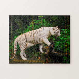 White Tiger Singapore. Jigsaw Puzzle