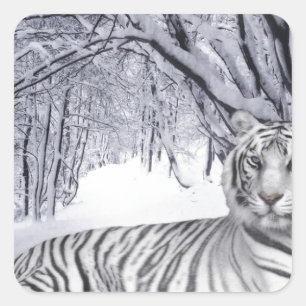 WHITE TIGER SQUARE STICKER