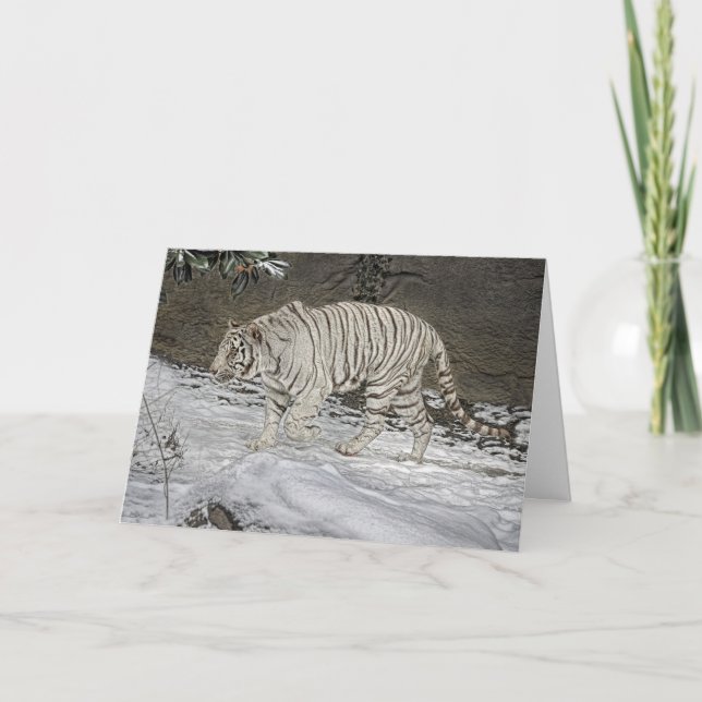White Tiger Stalking in Snow Holiday Card (Front)
