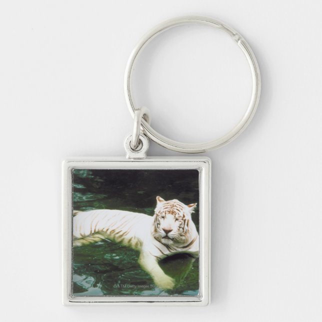 White Tiger Swimming Peacefully Key Ring (Front)