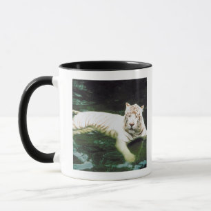 White Tiger Swimming Peacefully Mug