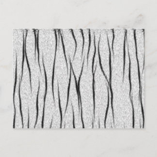 White tiger texture postcard