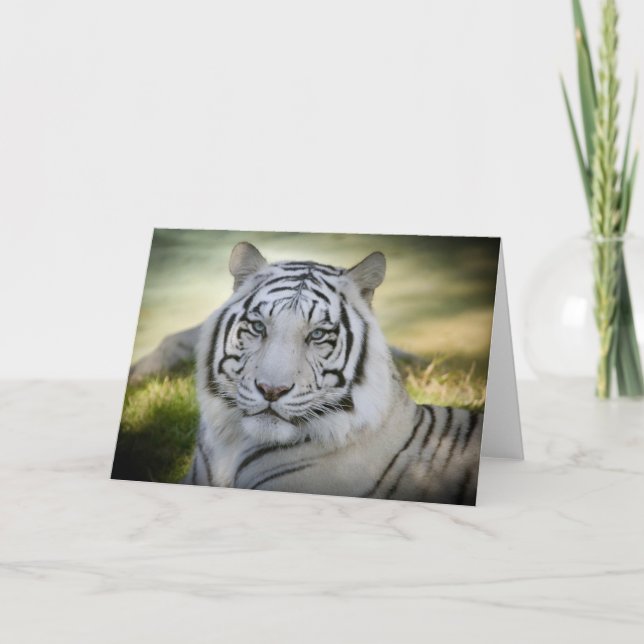 White Tiger (v2) Greeting Card Personalise (Front)
