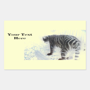 White Tiger wild animal Rectangular Sticker