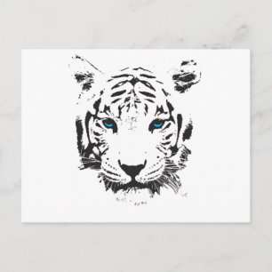 White Tiger with Blue Eyes Postcard