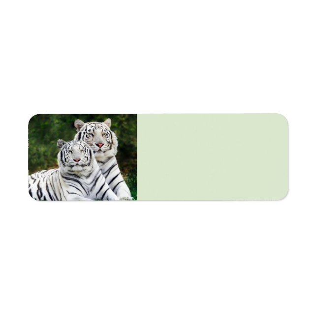White Tigers (Front)