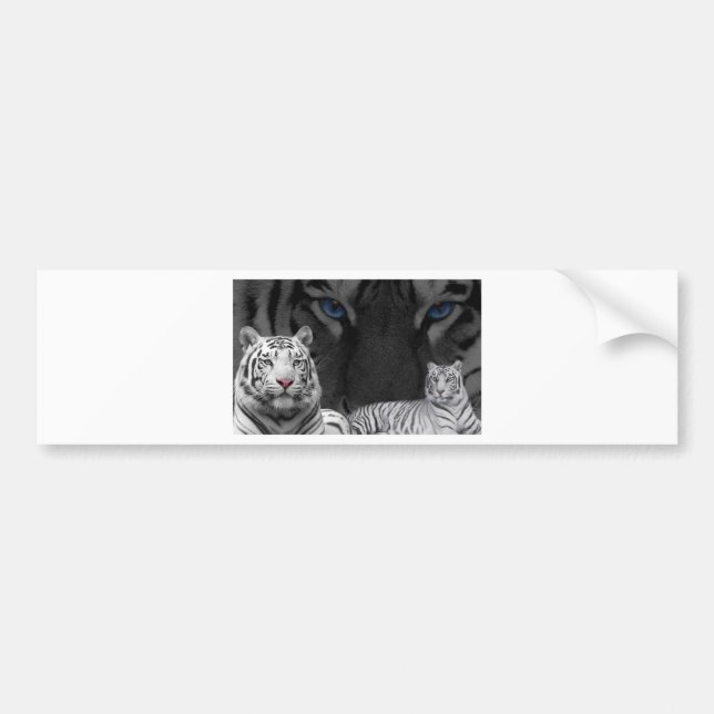 White Tigers Bumper Sticker (Front)