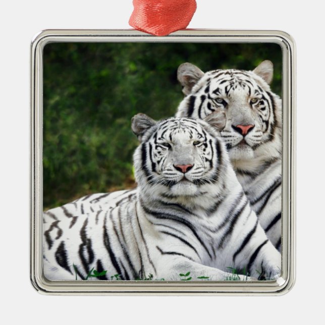 White Tigers Metal Tree Decoration (Front)