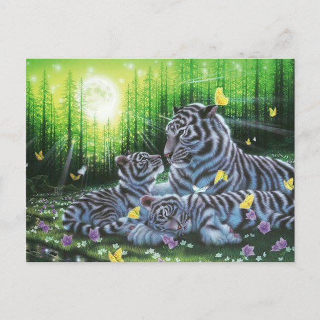 White Tigers Postcard (Front)