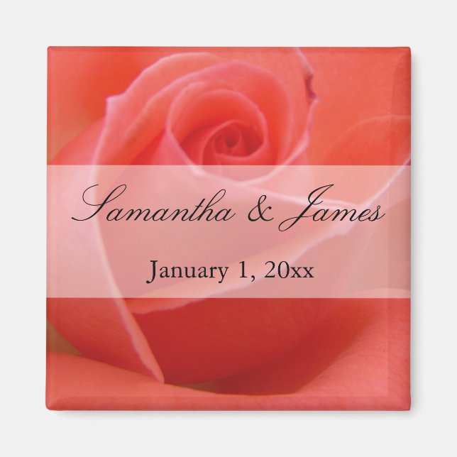 White Tipped Pink Rose Personal Wedding Magnet (Front)