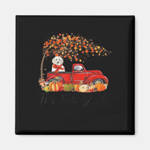 White Toy Poodle It’s Fall Y’all Pumpkin Fall  Magnet