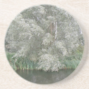 White Tree and River Landscape Coasters