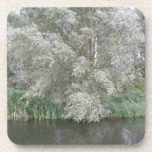 White Tree and River Landscape Cork Coaster