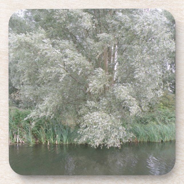 White Tree and River Landscape Cork Coaster (Front)
