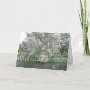 White Tree and River Landscape Greeting Card