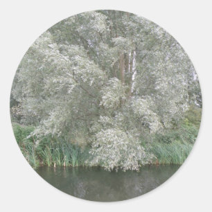 White Tree and River Landscape Stickers