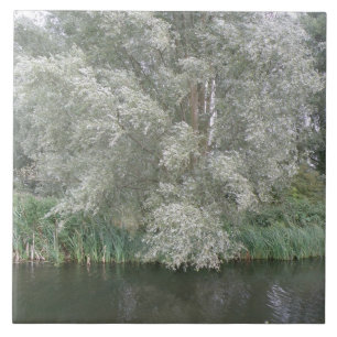 White Tree and River Landscape Tile