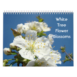 White Tree Flower Blossoms Calendars Photography
