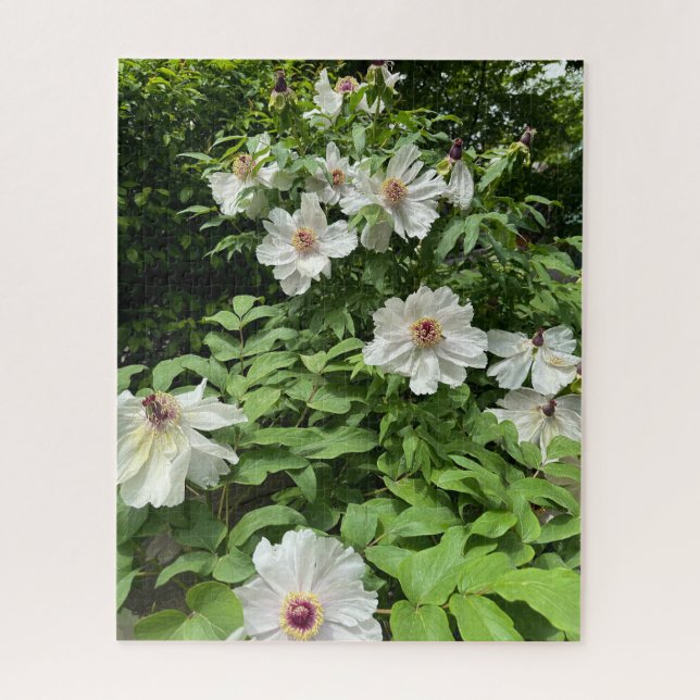 White Tree Peony, Seoul Jigsaw Puzzle (Vertical)