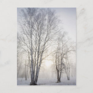 White Trees on a Snowy Day Postcard
