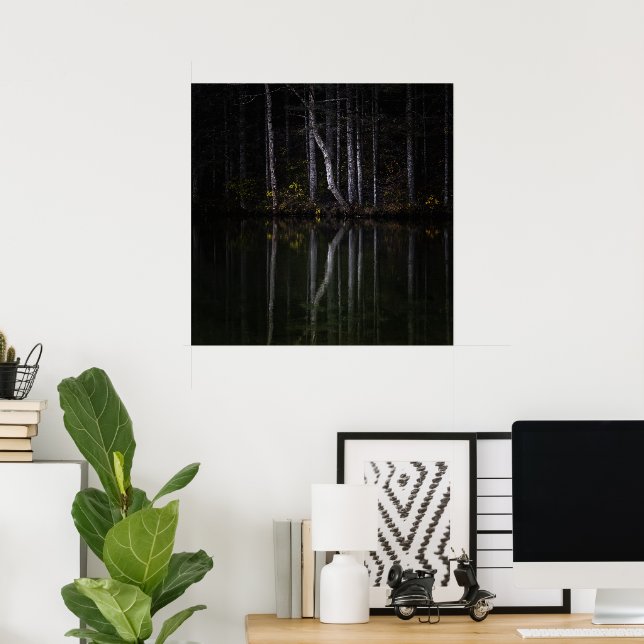 White trees reflecting in lake poster (Home Office)