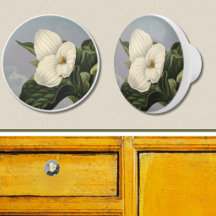 White Trillium Flower in Temple of Flora Style