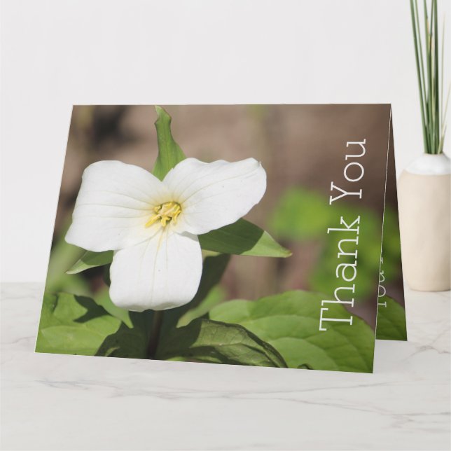 White Trillium Flower Photograph Card (Front)