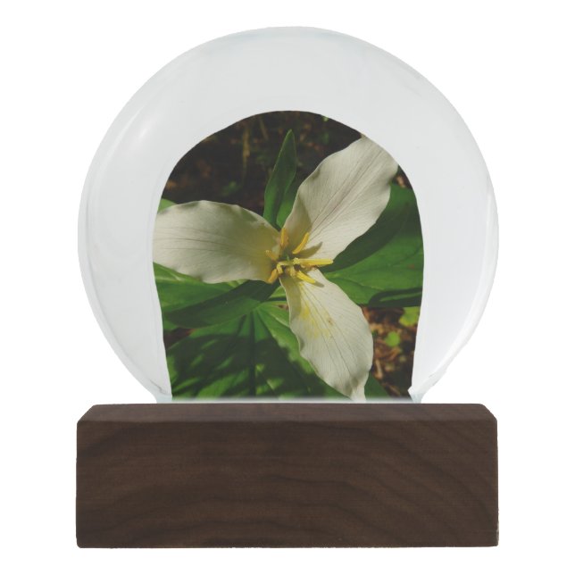 White Trillium Flower Snow Globe (Front)