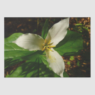 White Trillium Flower Spring Wildflower Tissue Paper